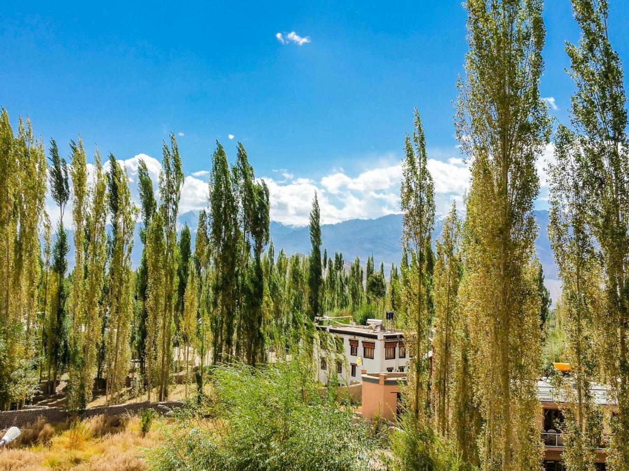 Hotel City Palace Leh Dış mekan fotoğraf